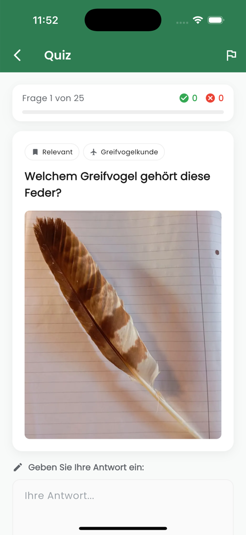 Prüfungsfrage mit Bild aus der Greifvogelkunde: Welchem Greifvogel gehört diese Feder?